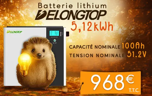 Batterie Lithium DelongTop de 51,2V 314Ah 16kWh au prix de 2890€ T.T.C.